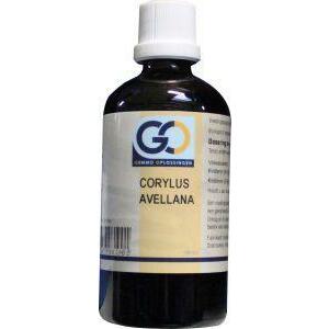 GO Corylus avellana 100ml