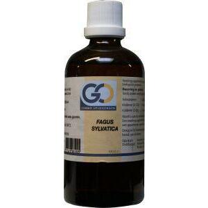 GO Fagus sylvatica bio 100ml