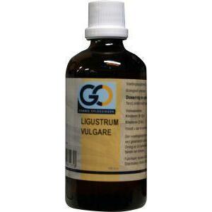 GO Ligustrum vulgare 100ml