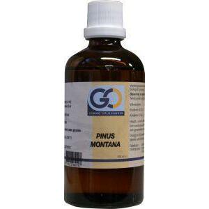 GO Pinus montana 100ml
