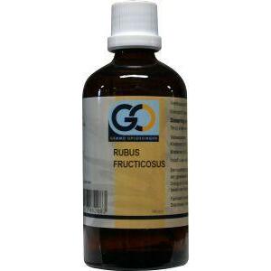 GO Rubus fructicosus bio 100ml