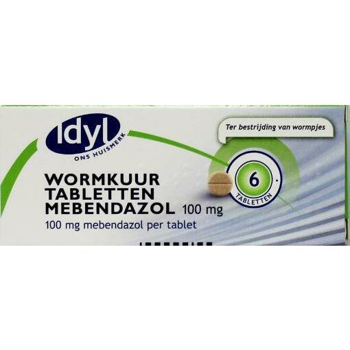 Idyl Wormkuurtabletten mebendazol 100 mg 6tb