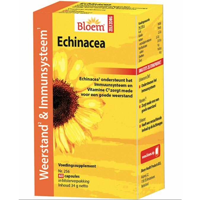 Bloem Echinacea 100tb