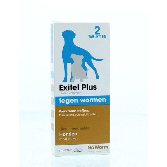 Exil No worm hond small 2tb