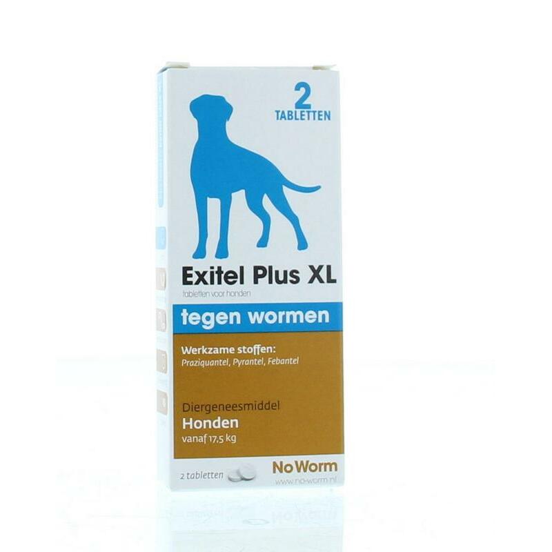 Exil No worm hond large 2tb