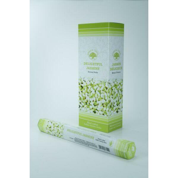 Green Tree Wierook delightful jasmine 20st