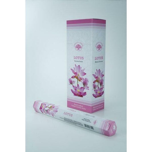 Green Tree Wierook lotus 20st