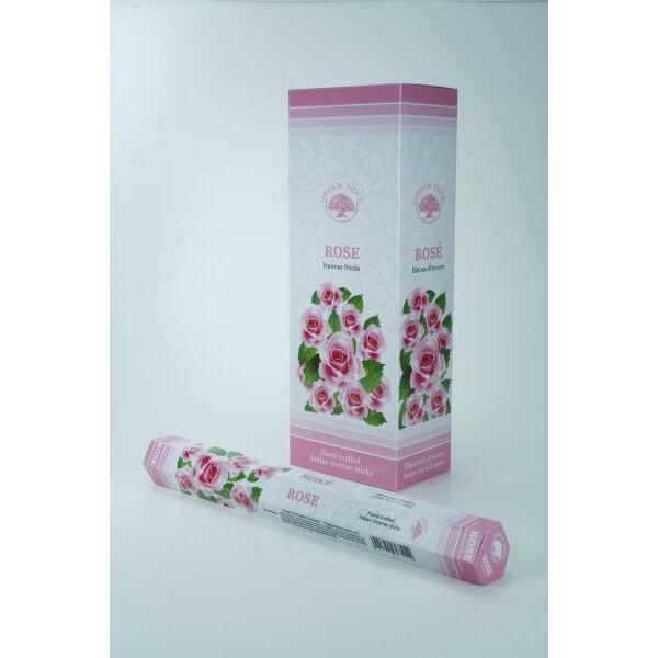 Green Tree Wierook rose 20st
