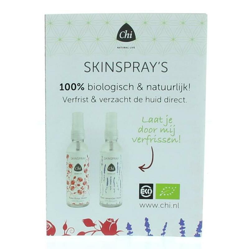 CHI Skinspray pure flyer 1st