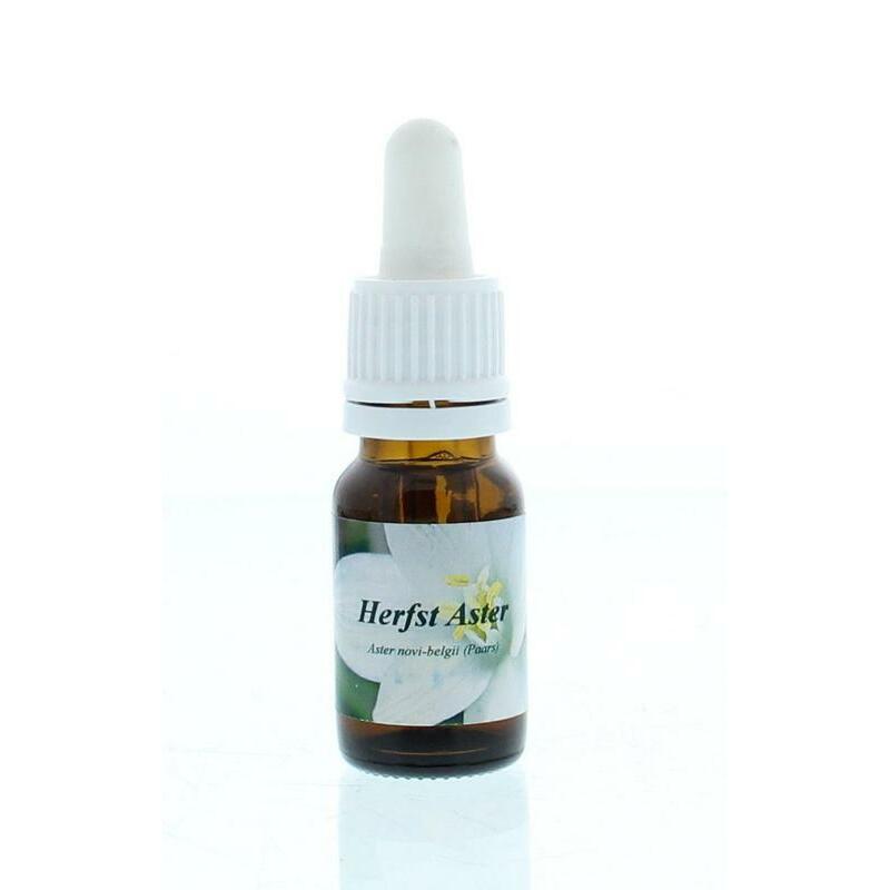 Star Remedies Herfstaster 10ml