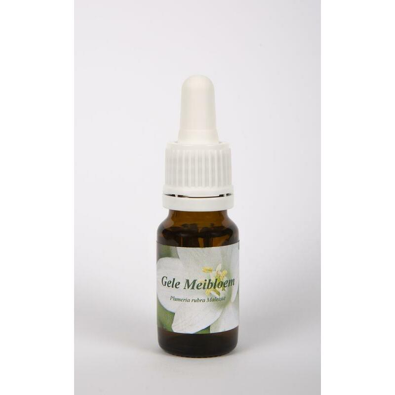 Star Remedies Gele meibloem 10ml