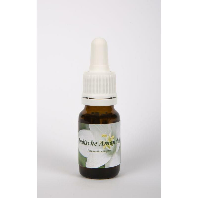 Star Remedies Indische amandel 10ml