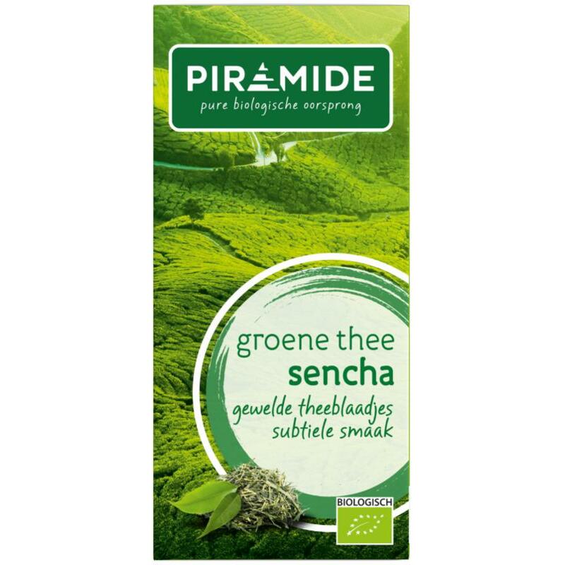 Piramide Groene thee sencha eko bio 20st