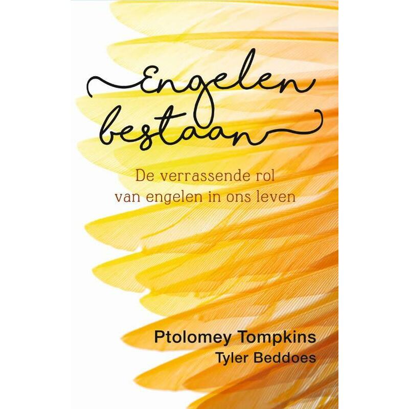 Ankh Hermes Engelen bestaan de verrassende rol van engelen boek