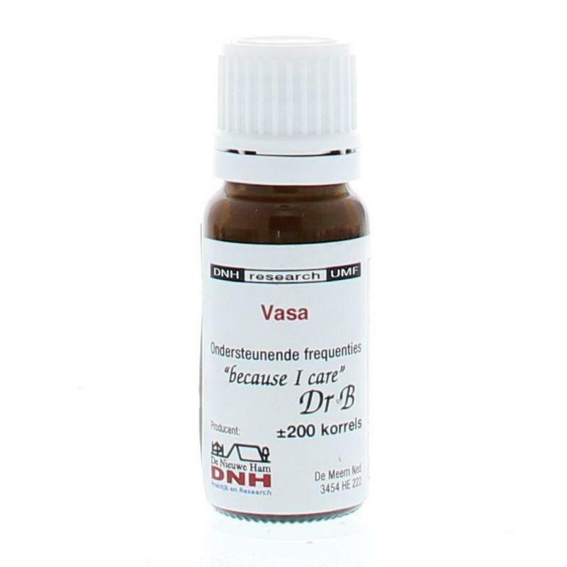 DNH Vasa 200st
