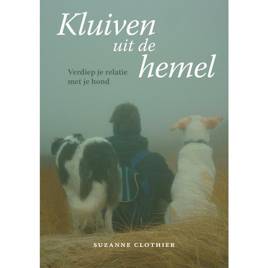 A3 Boeken Kluiven uit de hemel boek