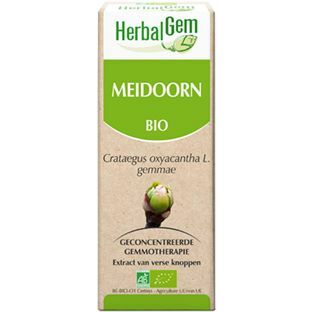 Herbalgem Meidoorn crataegus oxy gemmae bio 50ml