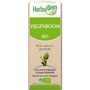 Herbalgem Vijgenboom ficus carica gemmae bio 50ml