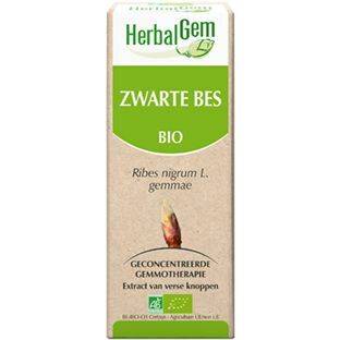 Herbalgem Zwarte bes ribes nigrum gemmae 50ml