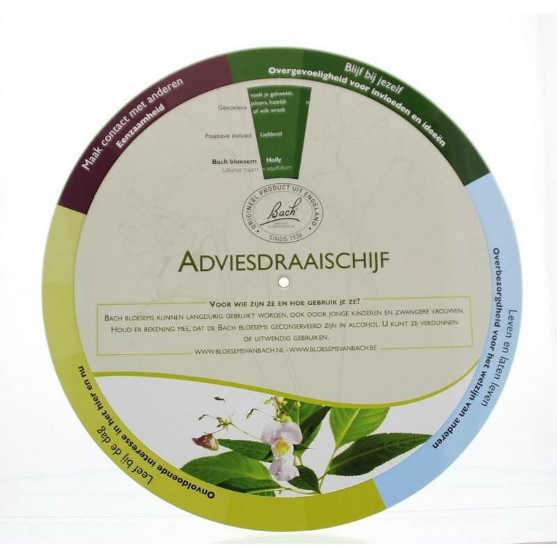 Bach Advies draaischijf 1st