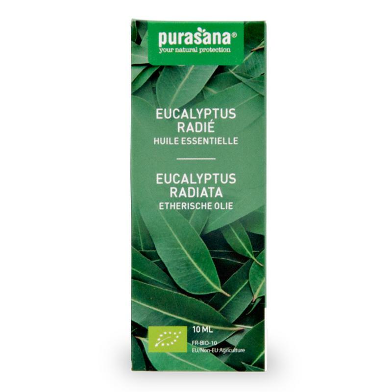 Purasana Eucalyptus radiata olie bio 10ml