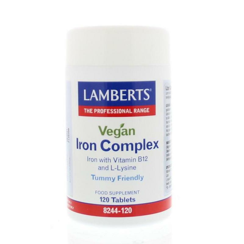 Lamberts IJzer complex vegan 120tb