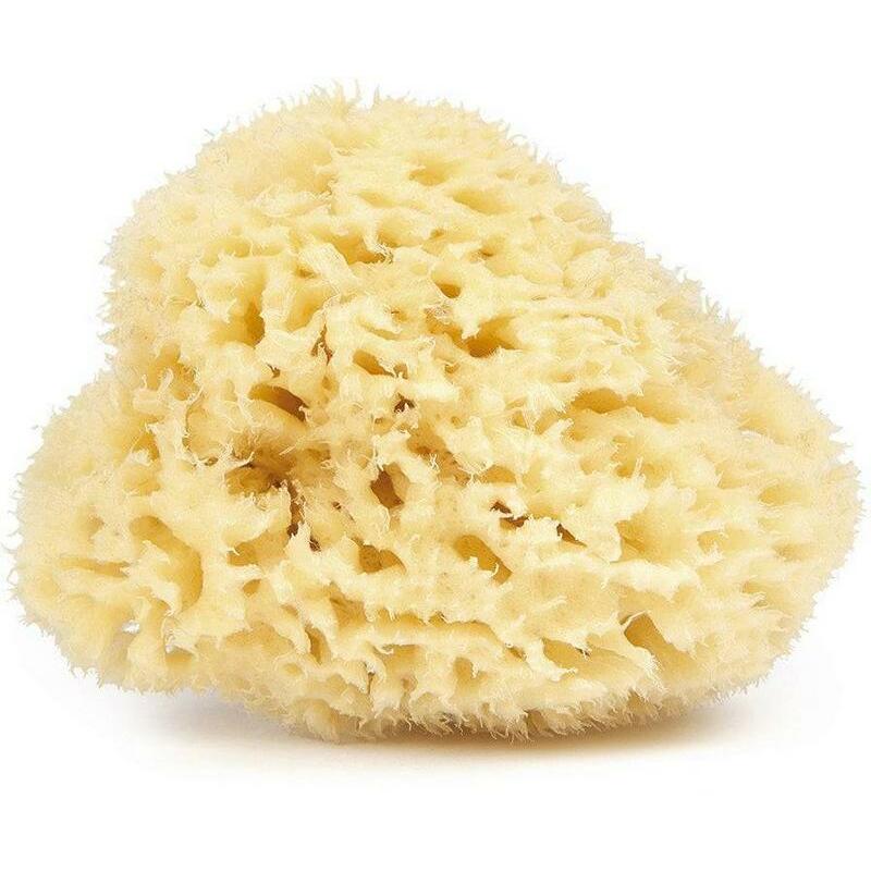 Najel Spons natuurlijk 9-10cm 1st