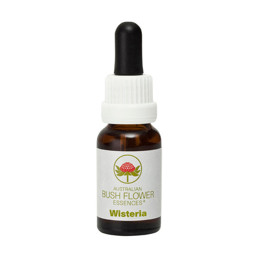 Australian Bush Wisteria 15ml