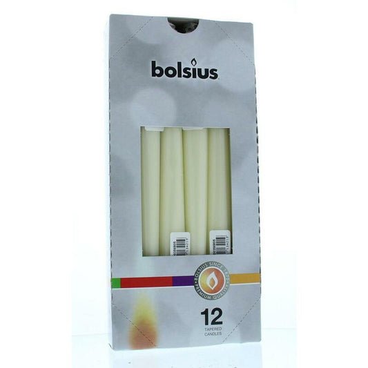 Bolsius Gotische kaars 245/24 ivoor 12st