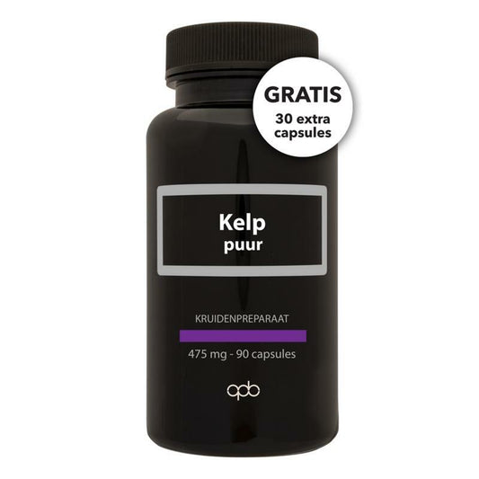 Apb Holland Kelp 475 mcg jodium puur 60ca