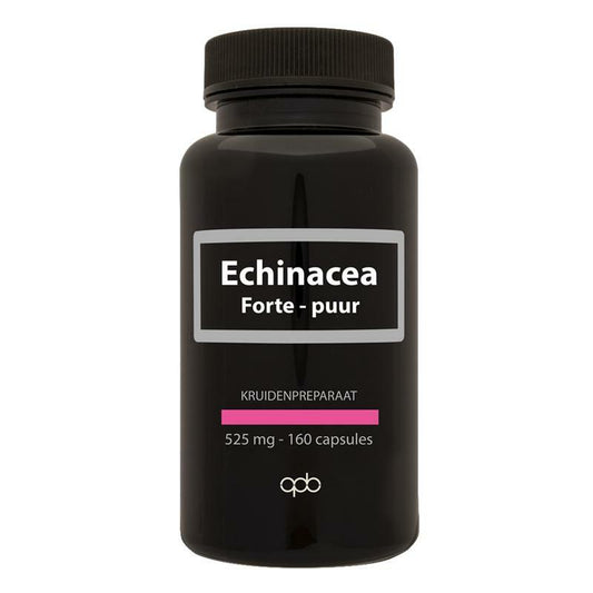 Apb Holland Echinacea forte 525 mg puur 160vc