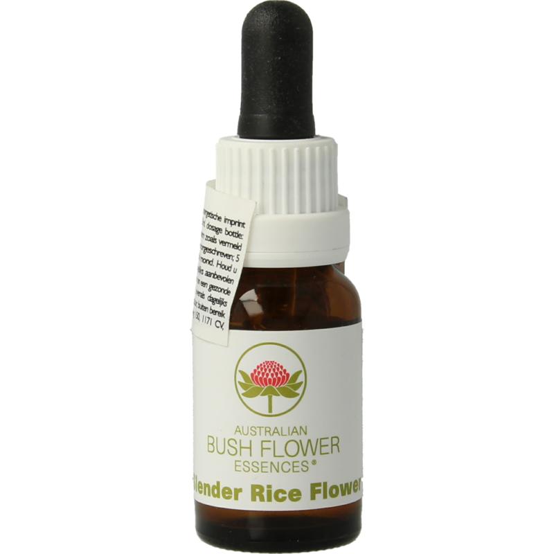 Australian Bush Slender rice flower 15ml