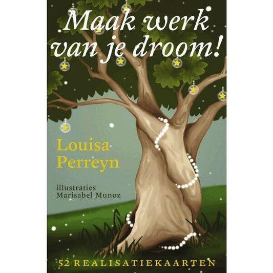 A3 Boeken Maak werk van je droom 1set