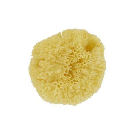 Forsters Natuur spons caribbean medium/ small 1st