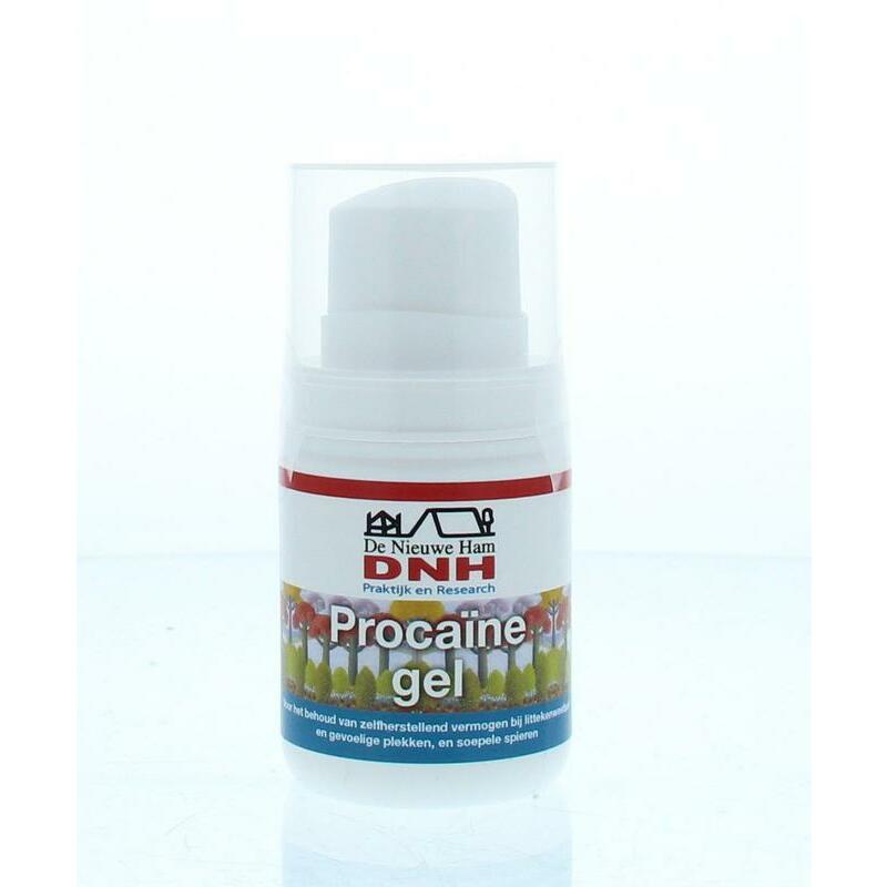 DNH Procaine gel 50ml
