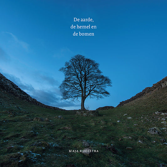 A3 Boeken De aarde de hemel en de bomen boek