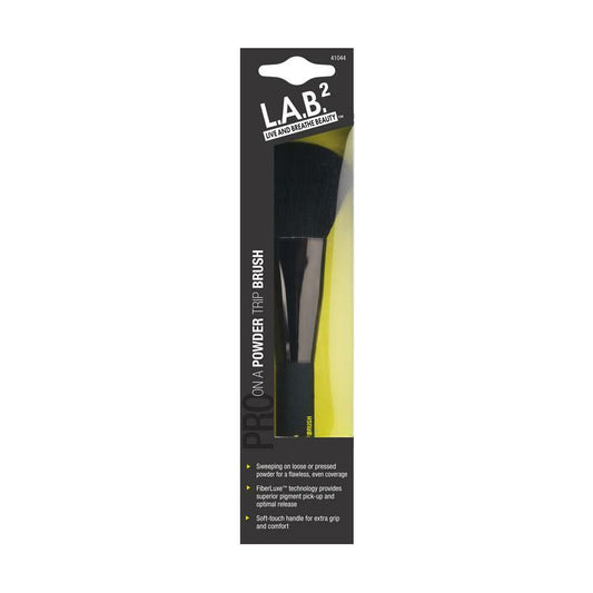 Lab2 Powder brush 1st