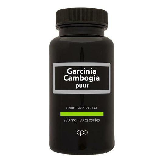 Apb Holland Garcinia cambogia 290 mg puur 90vc