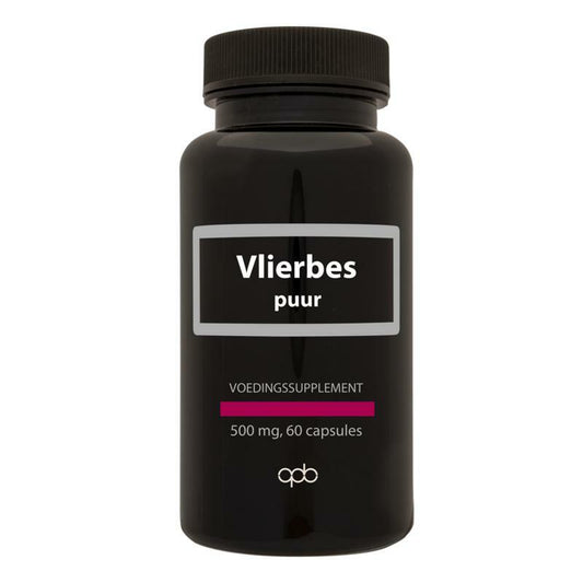 Apb Holland Vlierbes / Sambucus nigra 500 mg puur 60vc